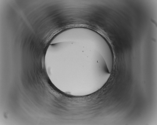 X0000099440013200806061055