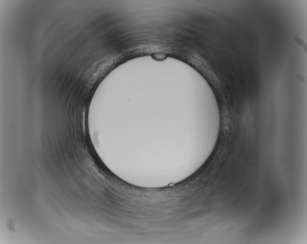 X0000099440014200806061055