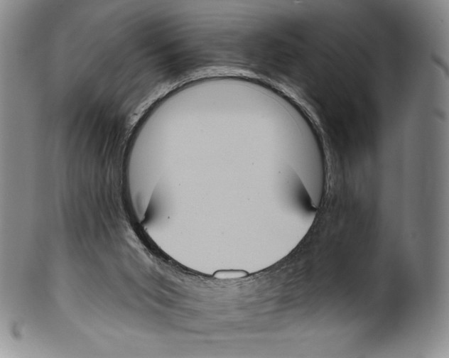 X0000099440015200806061055