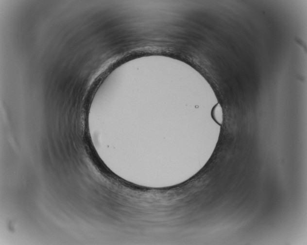 X0000099440016200806061055