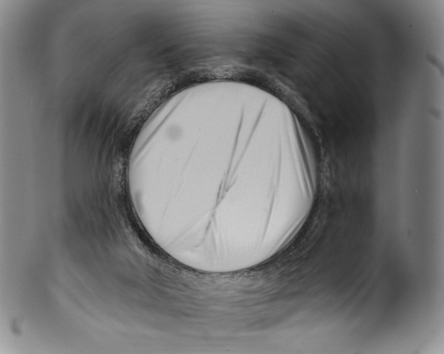 X0000099440018200806061055