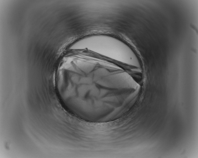 X0000099440019200806061055