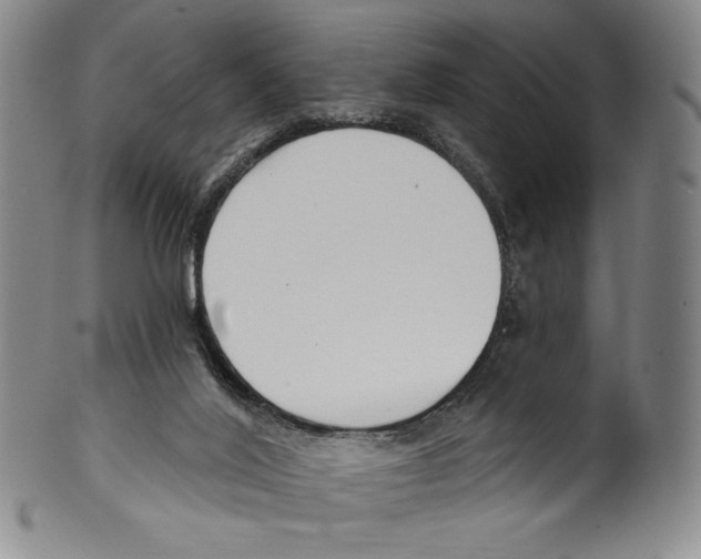 X0000099440020200806061055