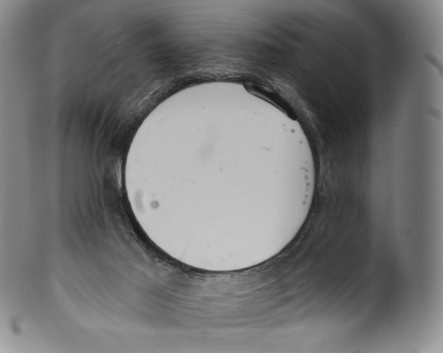 X0000099440021200806061055