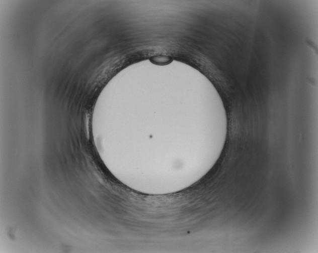 X0000099440022200806061055