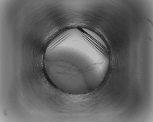 X0000099440023200806061055