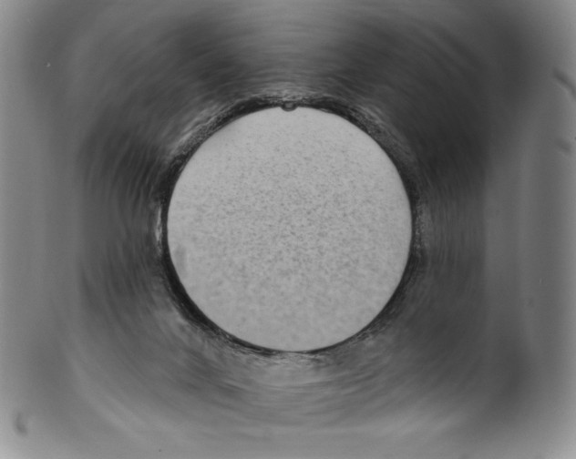 X0000099440024200806061055