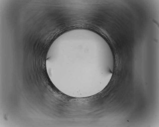 X0000099440025200806061054