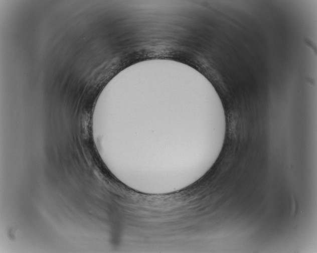 X0000099440026200806061054