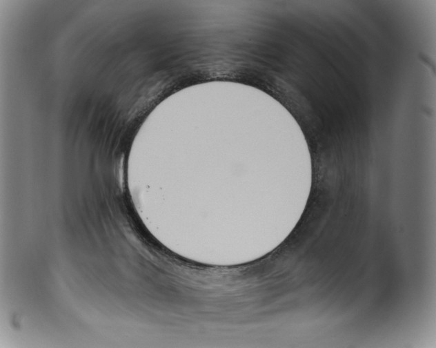 X0000099440028200806061054