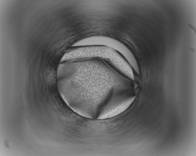 X0000099440029200806061054