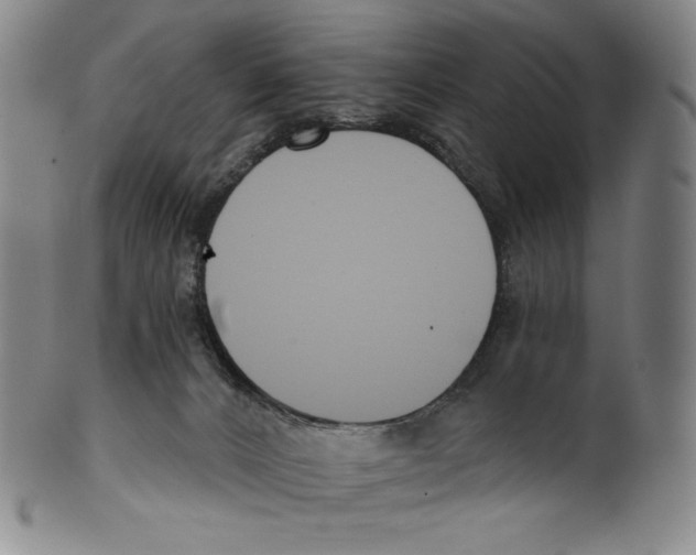 X0000099440032200806061054