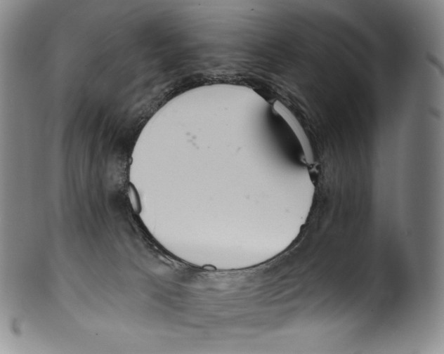 X0000099440033200806061054