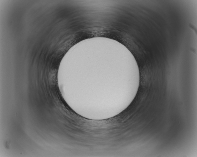 X0000099440034200806061054