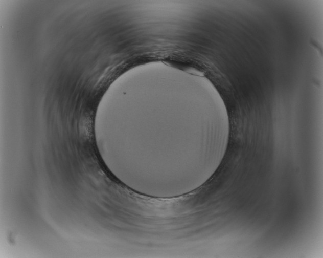 X0000099440035200806061054