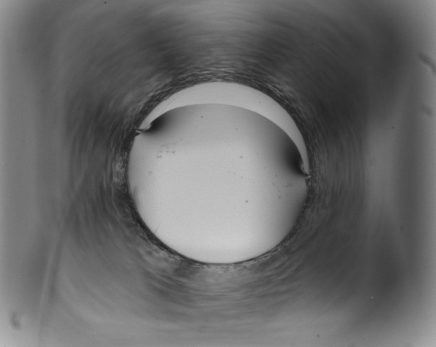 X0000099440037200806061054