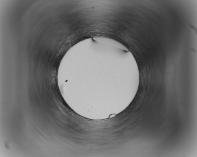 X0000099440038200806061054