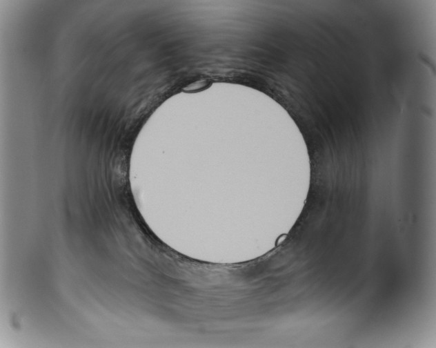 X0000099440040200806061054