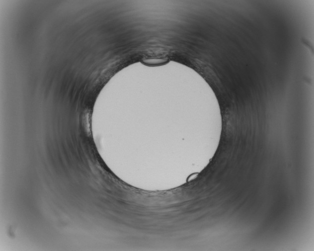 X0000099440042200806061054