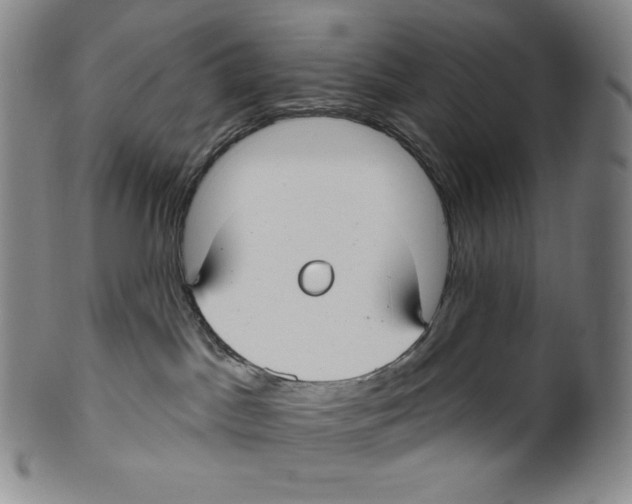 X0000099440045200806061054