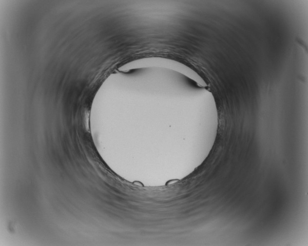 X0000099440046200806061054