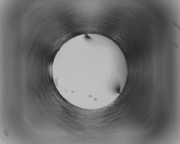 X0000099440047200806061054