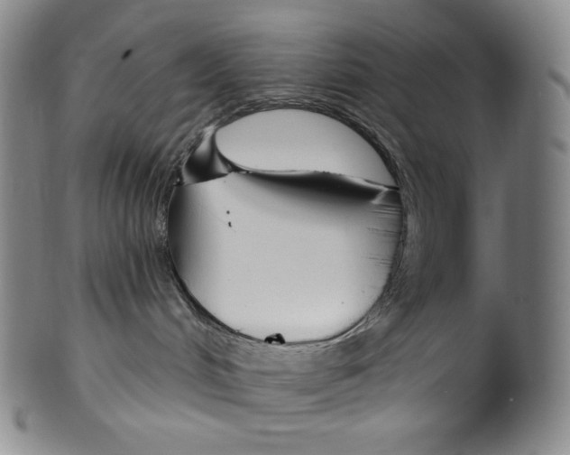 X0000099440048200806061054