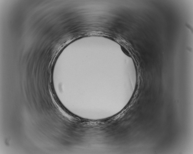 X0000099440049200806061053