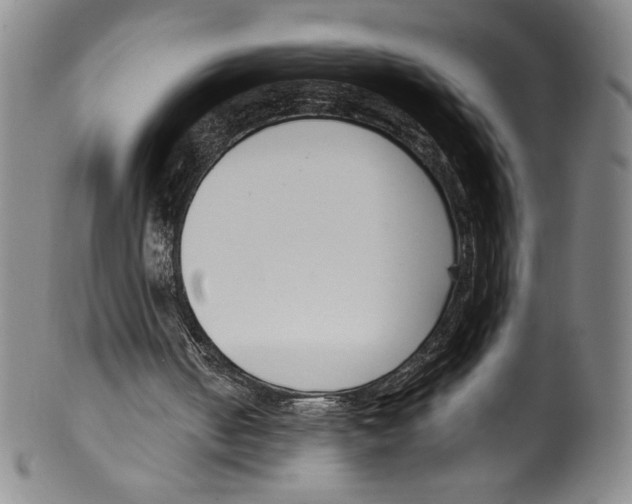 X0000099440050200806061054