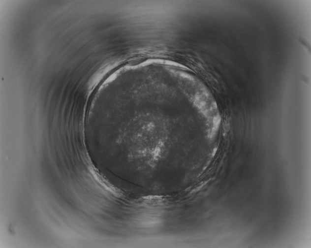 X0000099440052200806061054