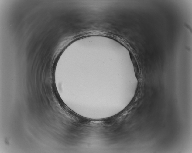 X0000099440055200806061054