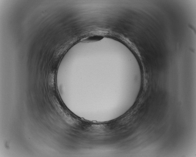 X0000099440057200806061054