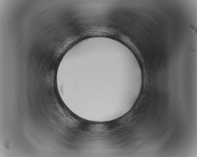 X0000099440058200806061054