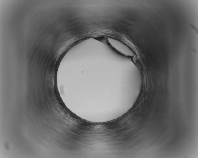 X0000099440059200806061054