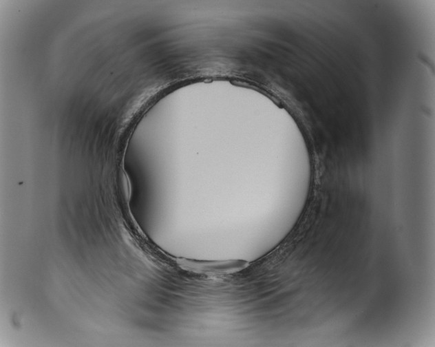 X0000099440060200806061054