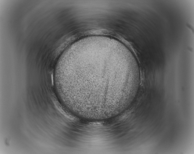 X0000099440061200806061054