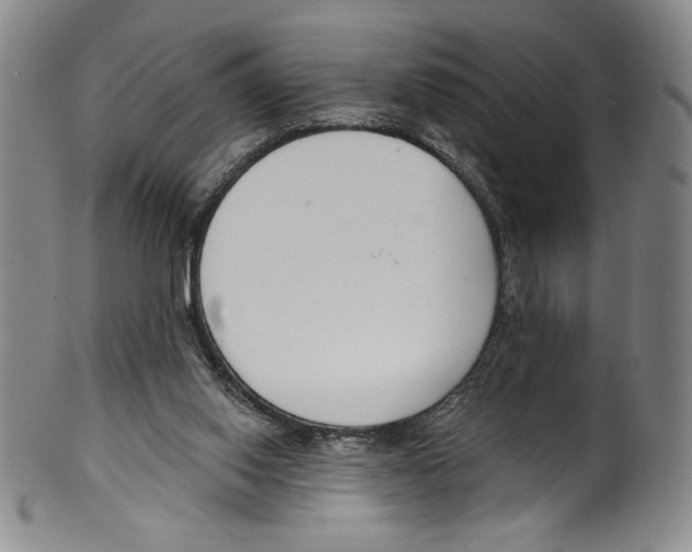 X0000099440062200806061054