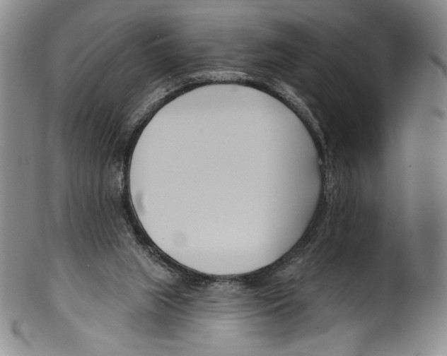 X0000099440063200806061054