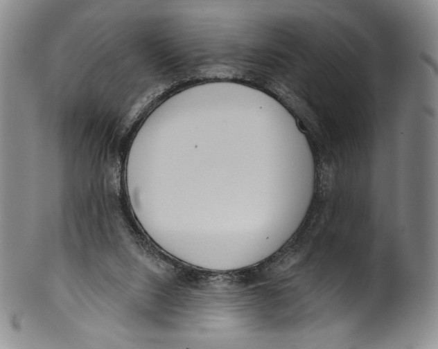 X0000099440064200806061054