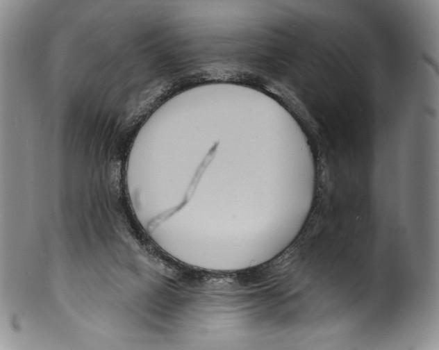 X0000099440066200806061054