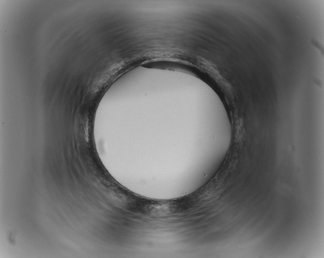 X0000099440068200806061054