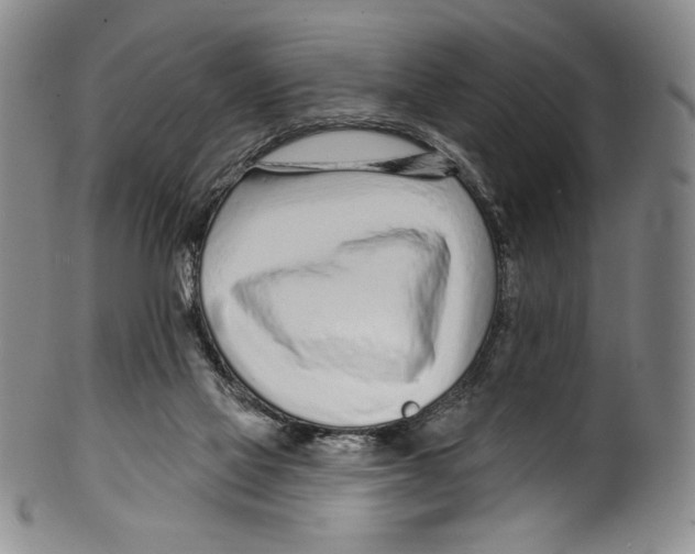 X0000099440069200806061054