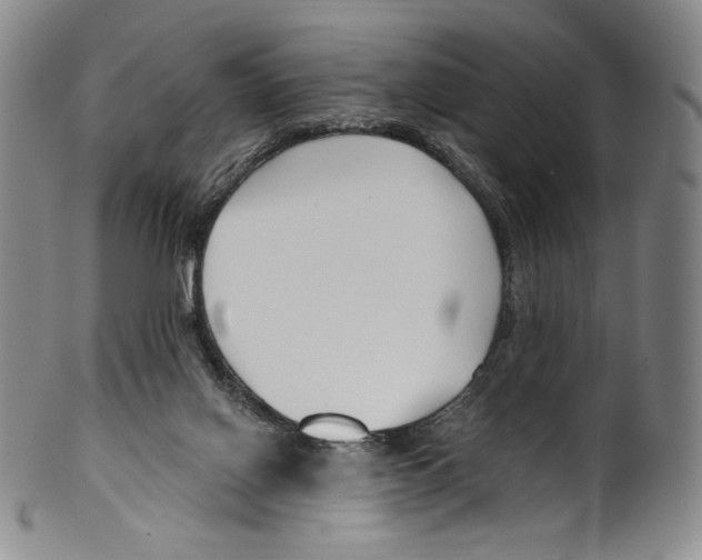 X0000099440070200806061054