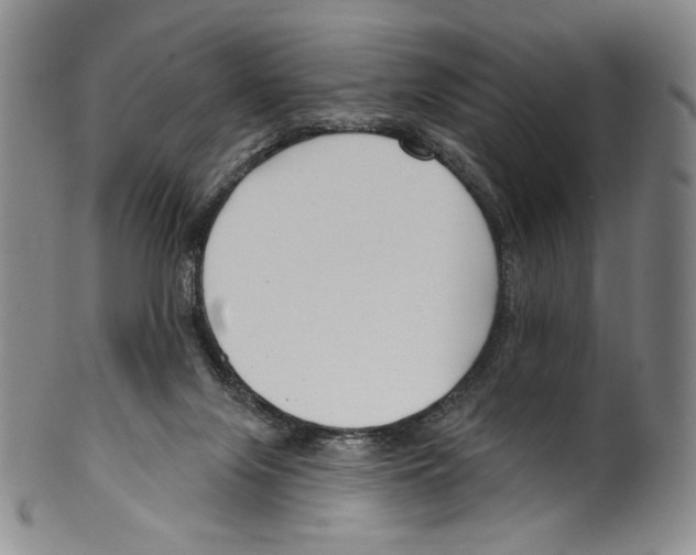 X0000099440071200806061054