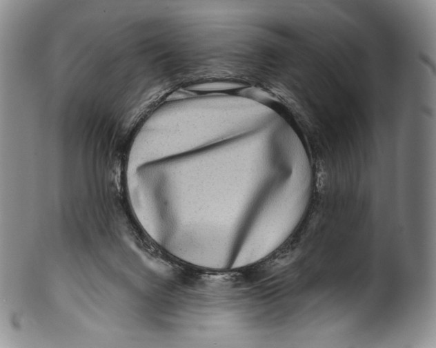 X0000099440072200806061054