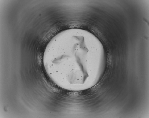 X0000099440074200806061054