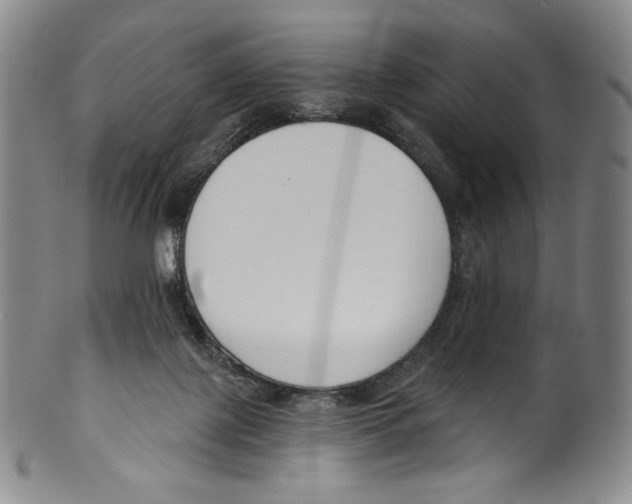 X0000099440075200806061054