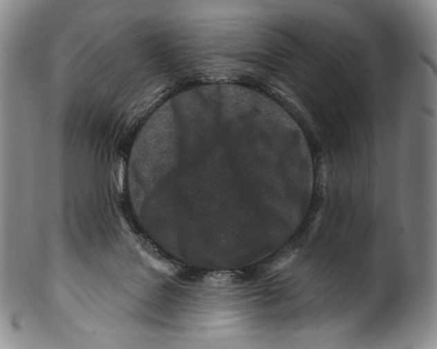 X0000099440076200806061054