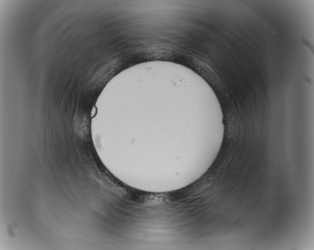 X0000099440077200806061054