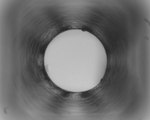 X0000099440078200806061054